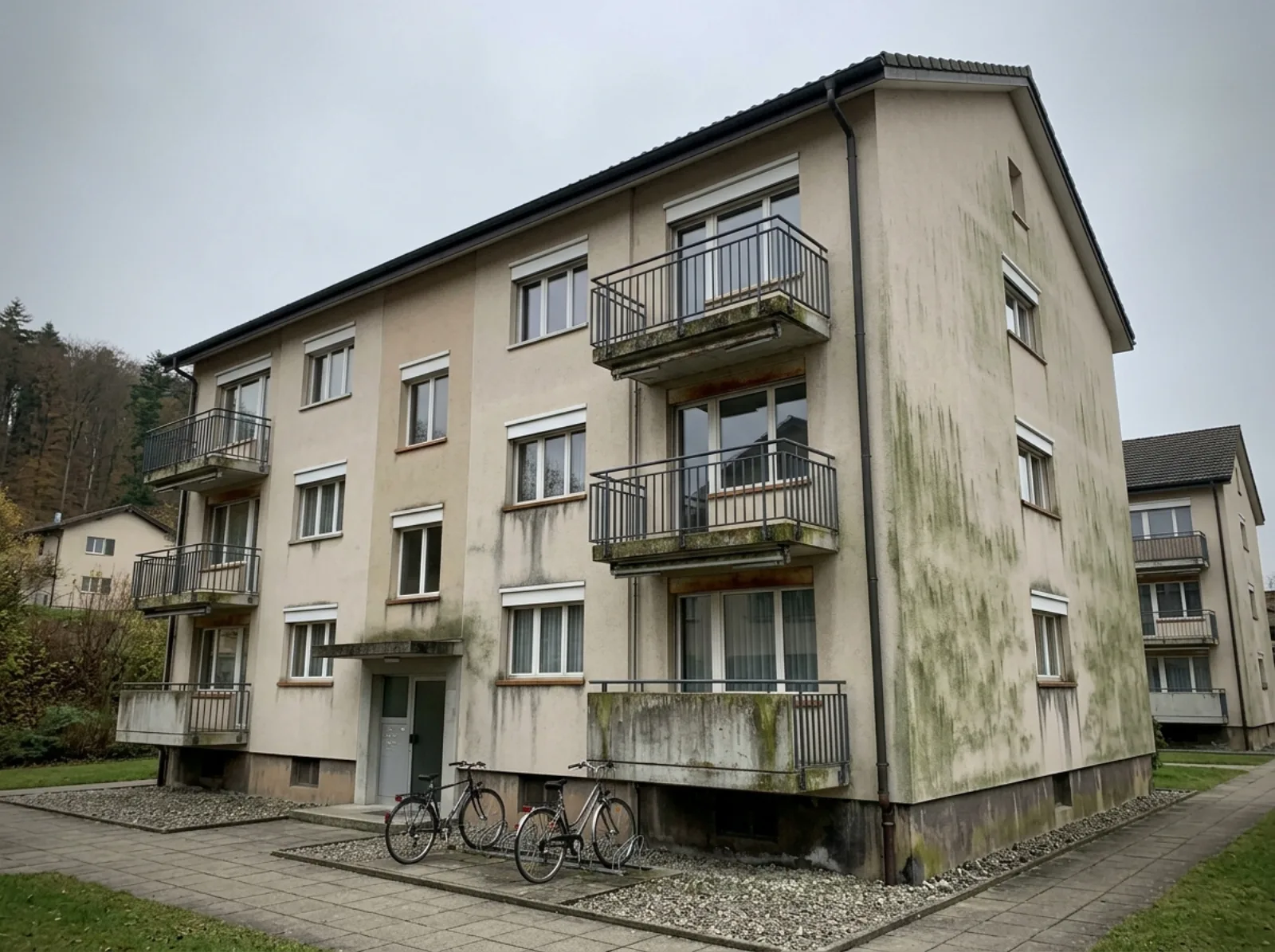 Verschmutzte Fassade mit Algenbefall vor professioneller Reinigung – Caretaker FM Thurgau